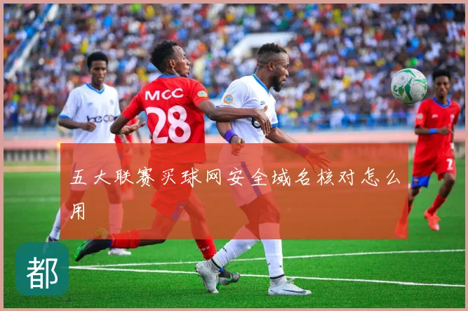 五大联赛买球网安全域名核对怎么用