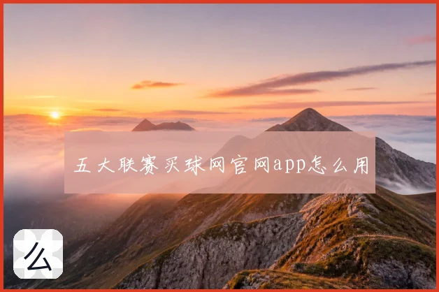 五大联赛买球网官网app怎么用