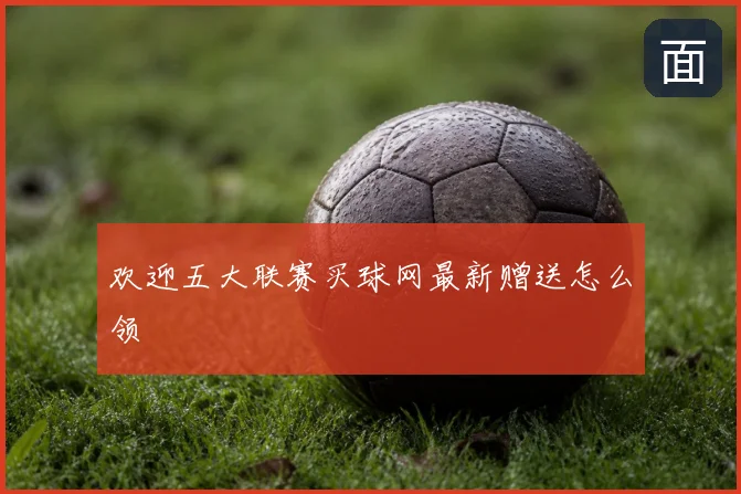 欢迎五大联赛买球网最新赠送怎么领