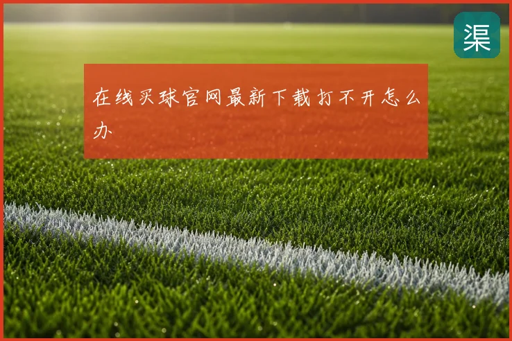 在线买球官网最新下载打不开怎么办