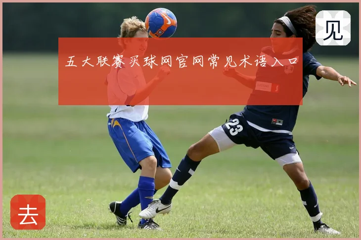 五大联赛买球网官网常见术语入口